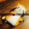 らす