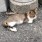 キヨ